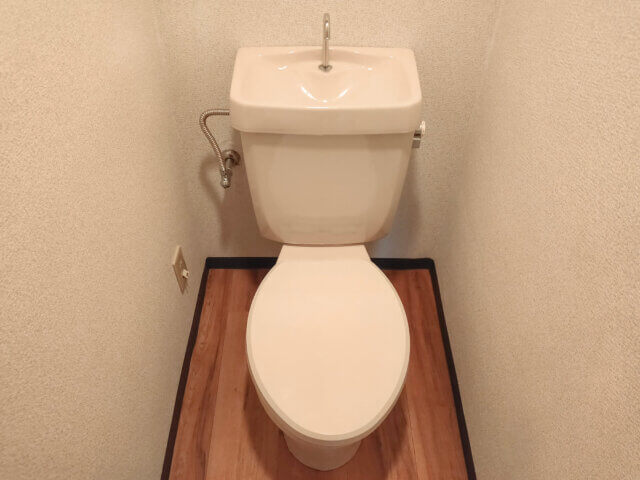 自力でのトイレつまり解消法