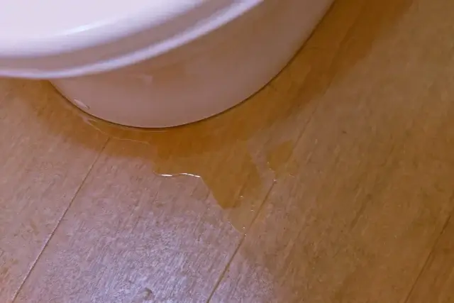 トイレの床の透明な水は水漏れが原因?