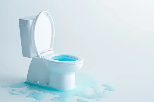 トイレの水漏れは漏れている場所で依頼先がどう変わる?